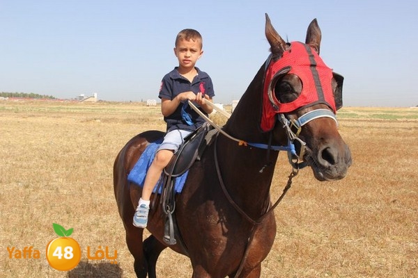 horse race 0602 (17).JPG